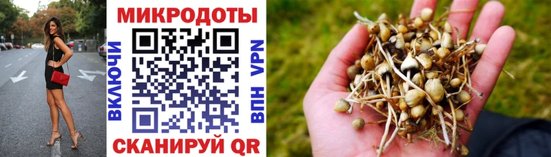 Псилоцибиновые грибы ЛСД  как найти   OMG tor  Серпухов 
