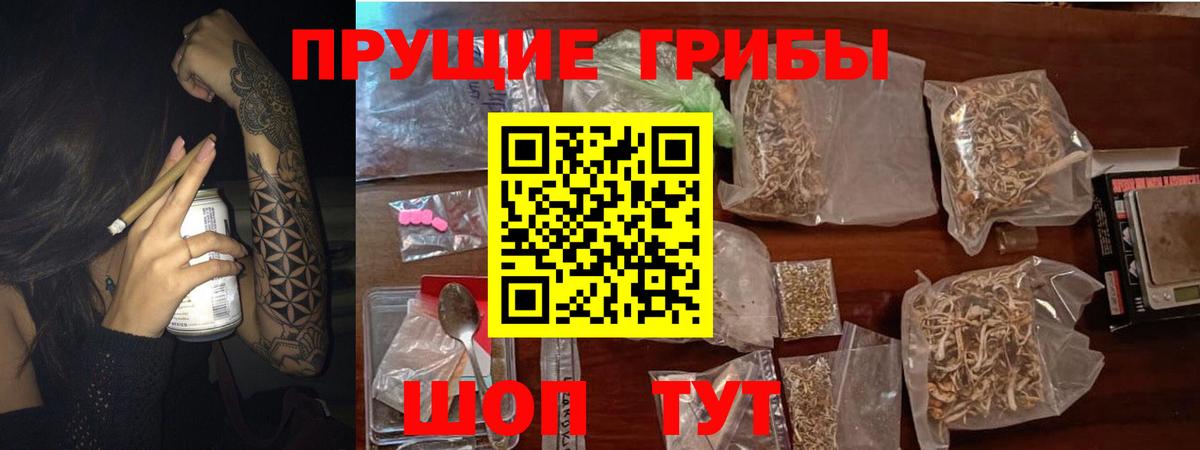 Псилоцибиновые грибы Cubensis Серпухов